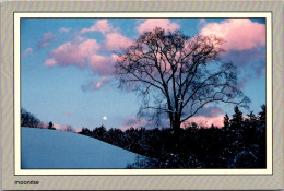 New Hampshire White Mountains Moonrise - White Mountains