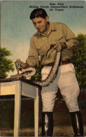 Florida Silver Springs Ross Allen Milking Diamondback Rattlesnake For Venom Curteich - Silver Springs