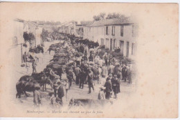 65 - MAUBOURGUET - MARCHE AUX CHEVAUX UN JOUR DE FOIRE - Maubourguet