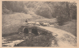 ORCHIMONT LE VIEUX PONT - Vresse-sur-Semois