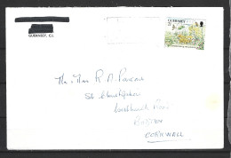 GUERNESEY. N°541 De 1991 Sur Enveloppe Ayant Circulé. Protection De La Nature. - Protection De L'environnement & Climat