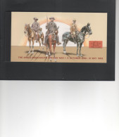 ZUID-AFRIKA - COLLECT SOUTH AFRICA STAMPS - Cuadernillos