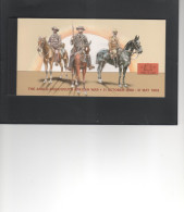 ZUID-AFRIKA - COLLECT SOUTH AFRICA STAMPS - Booklets
