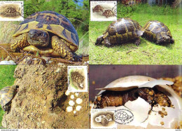 BULGARIA / BULGARIE - 2016 - WWF - Fauna - Tortues / Turtes -  4 MC - Andere & Zonder Classificatie