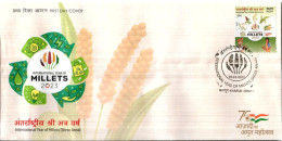 India 2023 Millets, Millet, Agriculture, Women, Cereals, Grass, Nutrition Health, Food, KANPUR FIRST DAY COVER FDC - FDC