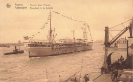 BELGIQUE - Anvers - Steamer Dans L'Escaut - Paquebot - Port - Carte Postale Ancienne - Antwerpen