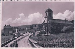 Mont Sur Rolle VD, Eglise Et Vignes (10401) - Rolle