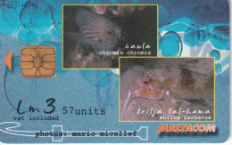 Nº231  TARJETA DE MALTA  DE UNOS PECES (FISH-PEZ) - Malta