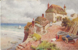 PAIGNTON, The Cottage On The Cliff (Publisher -Tuck's Oilette) Date - June 1906, Used - Paignton