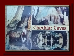 1993 UK Great Britain Postcard Multiview Cheddar Caves Sent To Scotland 2scans - Cheddar