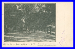 * SPA - Allée De La Sauvenière - Elixir De Spa - Animée - Eaux Minérales Ferrugineuses - Edit. DRICOT - 1904 - Spa