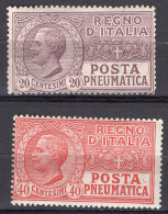 Z6072 - ITALIA REGNO PNEUMATICA SASSONE N°8/9 ** - Posta Pneumatica