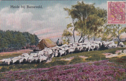 270368Heide Bij Barneveld. – 1924 (kleine Beschadiging Schaapskooi) - Barneveld