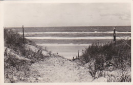 2703171Nes, Duindoorkijkje. (kleine Vouwen In De Hoeken) - Ameland