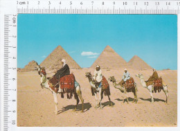 Giza - Arab Camelriders In Front Of The Pyramids - Gizeh