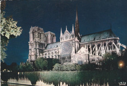 PARIS - Notre - Dame   Illuminée - Notre Dame De Paris