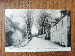 18 - Cher - SANCERGUES - L'avenue De St Martin - Sancergues