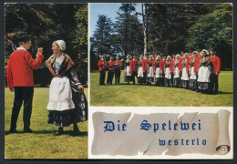 Volkskunstgroep " Die Spelewei " Asberg 8, 2260 Westerlo   - Not  Used   --2 Scans For Originalscan !! - Westerlo