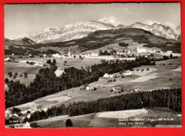 ZWB-12  Kurort Hemberg Neckertal  Toggenburg. Blick Vom Säntis.   Gross 21362  GF  - Hemberg