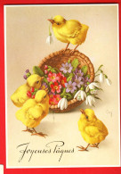ZWB-22 Joyeuses Pâques  Poussins Et Fleurs  Circ. 1904 Sous Enveloppe. Opbacher  13-3018  - Ostern