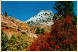 Utah Zion National Park Checkerboard Mesa Near The East Entrance - Zion