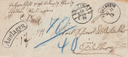 Vollständiger Brief - Liquid-Erkenntnis Aus Dem Jahr 1875 Von Reilingen Nach Heidelberg - Storia Postale