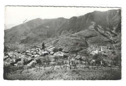 06 ROQUEBILLIERE VUE GENERALE VALLEE DE LA VESUBIE ALPES MARITIMES - Roquebilliere