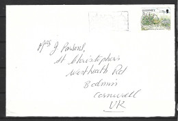 GUERNESEY. N°539 De 1991 Sur Enveloppe Ayant Circulé. Protection De La Nature. - Protection De L'environnement & Climat