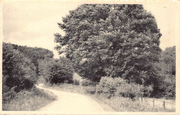 Bonjour D'Amblève - Gruss Aus Amel. - Amblève - Amel