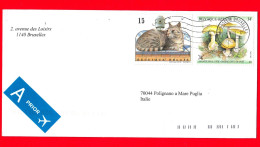 BELGIO ~ Storia Postale ~ Busta Del 2006 - ( 1991 - Funghi Amanita Phalloides - 1993 - Gatti Silver Tabby  ) - Lettres & Documents