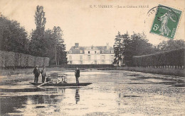 Vigneux Sur Seine             91        Lac Et Château Frayé             (voir Scan) - Vigneux Sur Seine