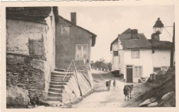 LA ROCHE EN ARDENNE  CHEMIN DE MAKA - La-Roche-en-Ardenne