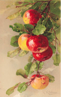 Catharina KLEIN * CPA Illustrateur Klein * éditeur G.O.M. N°1615 * Fruits Pommes Pomme Apple - Klein, Catharina