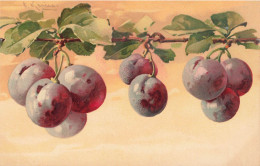 Catharina KLEIN * CPA Illustrateur Klein * éditeur Meissner Et Buch Série 1287 * Fruits Prunes - Klein, Catharina