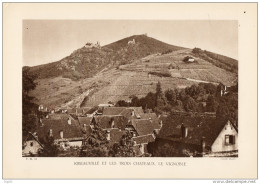 RIBEAUVILLE ET LES TROIS CHATEAUX LE VIGNOBLE - Andere Pläne