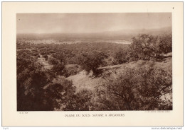 MAROC PLAINE DU SOUS SAVANE A ARGANIERS - Altri Disegni