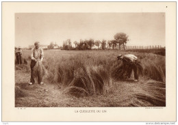 LE CEUILLETTE  DU LIN  ( Vie Rurale Agriculture ) - Other Plans