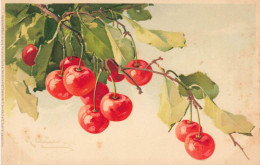 Catharina KLEIN * CPA Illustrateur Klein * éditeur Meissener Et Buch Série 1309 * Fruits Cerises Cerise Cherry - Klein, Catharina