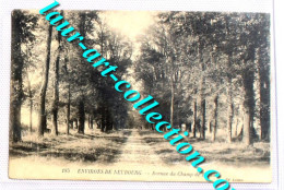 CPA 27 EURE - LE NEUBOURG AVENUE DU CHAMP DE BATAILLE 1900 FORET NORMANDIE / CARTE POSTALE ANCIENNE (1762) - Le Neubourg