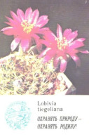 Pocket Calendar, Cactus, Lobivia Tiegeliana, 1985 - Petit Format : 1981-90