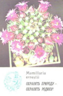 Pocket Calendar, Cactus, Mamillaria Ernestii, 1985 - Petit Format : 1981-90