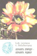 Pocket Calendar, Cactus, Lob. Jajoiana V. Fleicheriana, 1985 - Petit Format : 1981-90