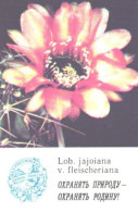 Pocket Calendar, Cactus, Lob. Jajoiana V. Fleicheriana, 1985 - Petit Format : 1981-90