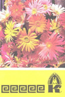 Pocket Calendar, Estonian Insurance, Flowers, 1984 - Petit Format : 1981-90