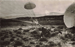 MILITARIA - Armée Belge - Saut En Parachute - Soldats - Carte Postale Ancienne - Personen