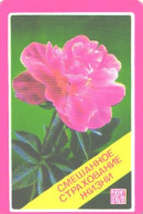 Pocket Calendar, Gosstrah, Insurance, Flower, 1984 - Petit Format : 1981-90