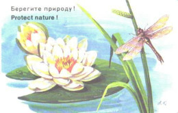 Pocket Calendar, Protect Nature, Flowers, Waterlily, Dragonfly, 1984 - Petit Format : 1981-90