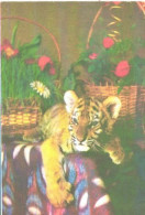 Pocket Calendar, Tiger Cub On Table, 1984 - Petit Format : 1981-90