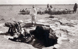 SOMALIA - Abbeveraggio Alla Sorgente - Vgt.1929 (di Interesse Filatelico) - Somalia