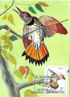 France - Maximumcard 1985 - J.J. AUDUBON :   Northern Flicker  -  Colaptes Auratus - Picchio & Uccelli Scalatori